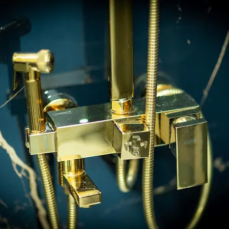 Luxury Promenada Apartment Craiova